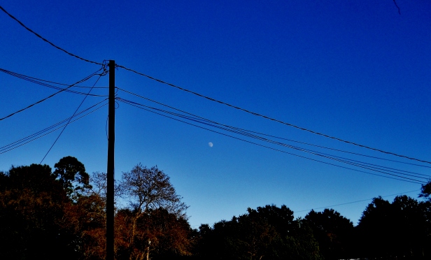 Moon viewed from Yulee, Florida ⓒBearspawprint2014