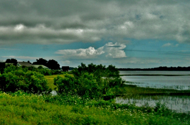 St. Marys River, Amelia Island,ⓒBearspawprint2014 